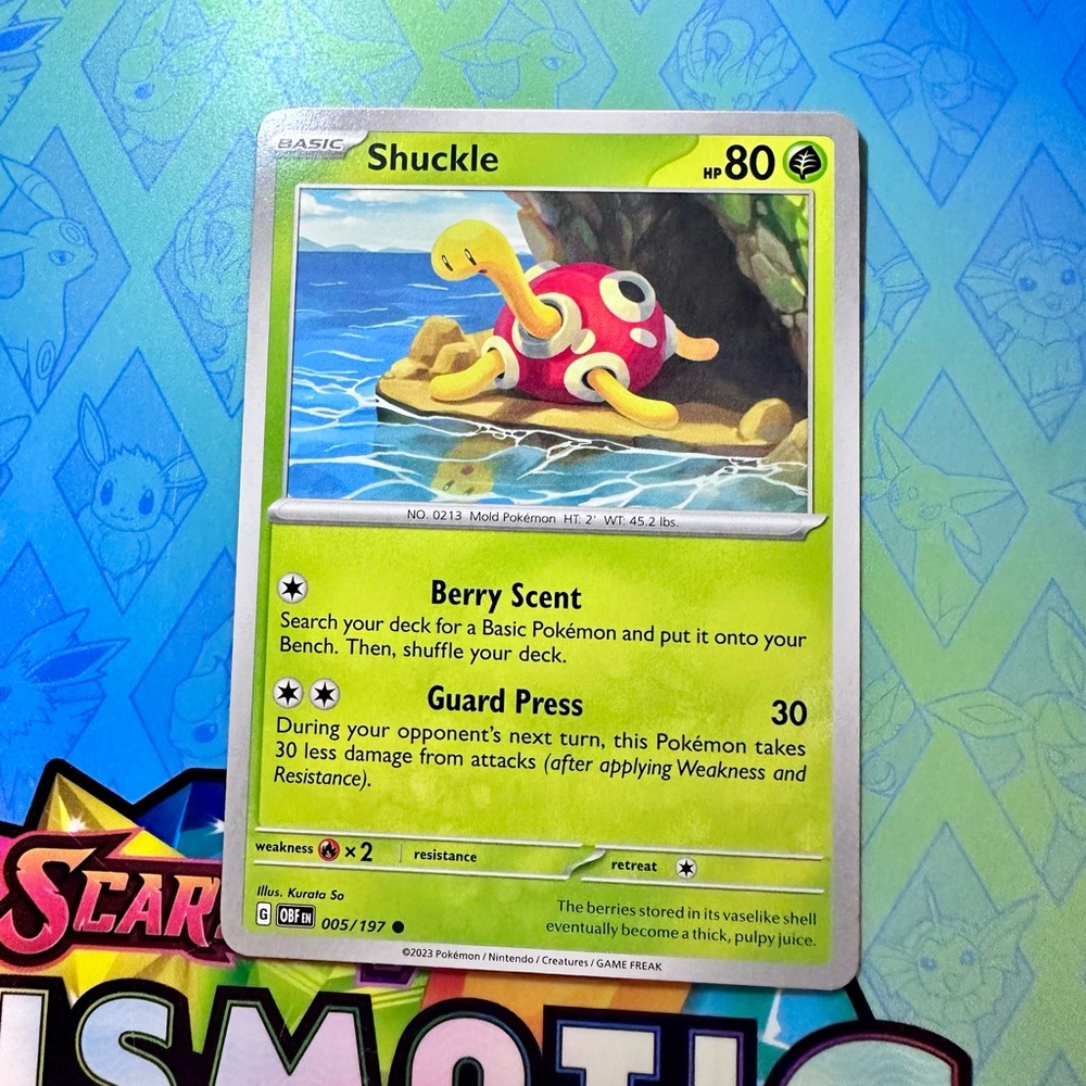 shuckle (005/197) - common — pokémon: obsidian flames